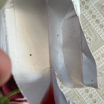 İçim Meyve Suyu Çürük Meyve Parçaları Var