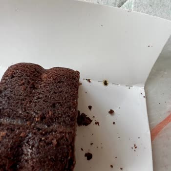 BİM Kendi Markası Casey Kek