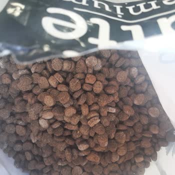 Pati Latte Gelmeyen Ve Bozuk Mama