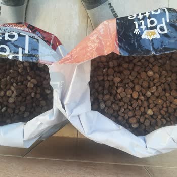 Pati Latte Gelmeyen Ve Bozuk Mama