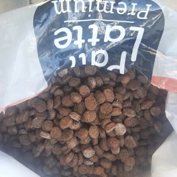 Pati Latte Gelmeyen Ve Bozuk Mama