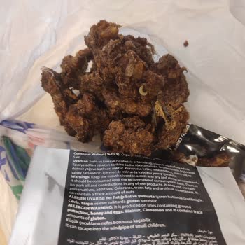 Anında Bitiyo Kuruyemiş İçinde Böcek