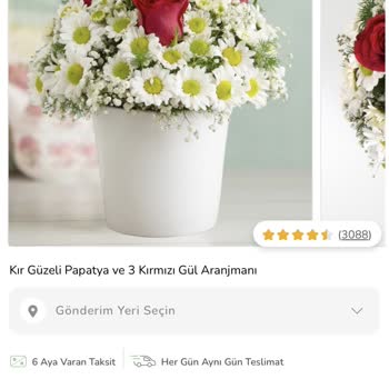 ÇiçekSepeti Kırık Vazoyla Gönderilen Çiçek