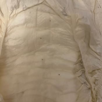 Sleepy Ecologic Serisi Siyah Noktalar