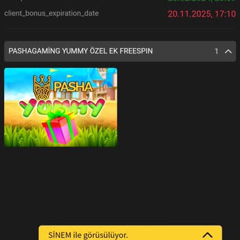 Pashagaming Hatalı İşlem Yapıldı