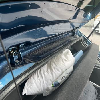 Wolf Cars Wolf Car, S