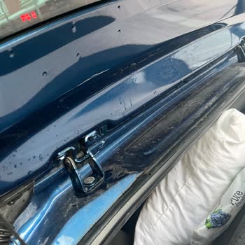 Wolf Cars Wolf Car, S