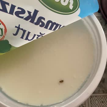 Sütaş Yoğurttan Böcek Çıktı
