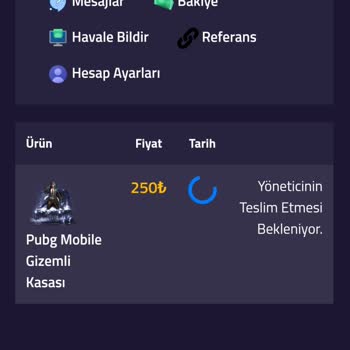 Oyun Dinar 250 TL Random Hesap Gelmemesi