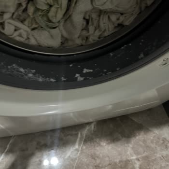 Sözde Sessiz Samsung Çamaşır Makinesi