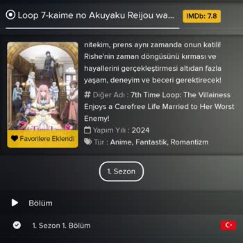 Diziwatch Anime Çok Geç Yayınlanıyor!