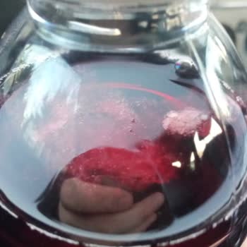 Saol Vitamin Water Sağ Ol Vitamin Water İçinde Yabancı Madde