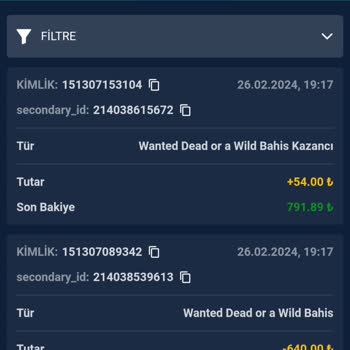 Teosbet Yatırım Yaptım, Mağduriyet Yaşadım!