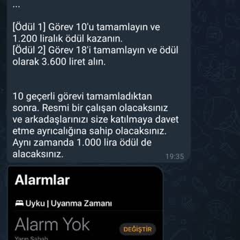 Görev Yap Para Kazan Adı İle İnsanları Yanıltıcı İthamlar