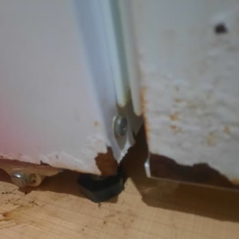 Vestel Buzdolabı Paslandı Şikayet Var