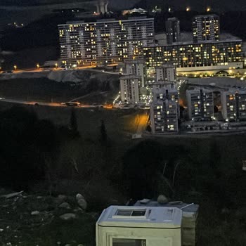 İzmir Valiliği 100 Adet Çam Ağacının Hukuksuz Şekilde Kesilmesi