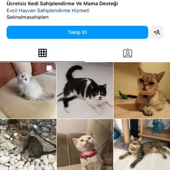 Dostumpaticik (Instagram) Yanıltıyor