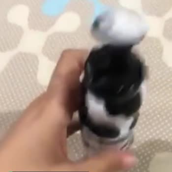 Morfose Saç Köpüğü Sıvı Akıtıyor!