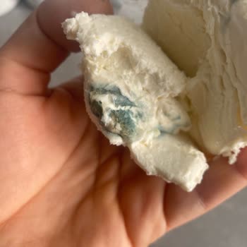Yeşil Tabakalı Kaymak: Güngören Metro Market Sağlık Skandalı