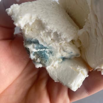 Yeşil Tabakalı Kaymak: Güngören Metro Market Sağlık Skandalı