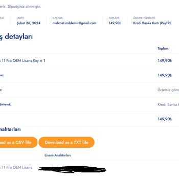 Jetlisans Windows 11 Pro OEM Lisans KEY × 1 Hatalı KEY.