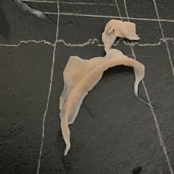 Sütaş Ayranın İçinden Çıkan Cisim