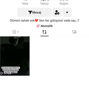 TikTok Hesabıma Giriş Yapamıyorum