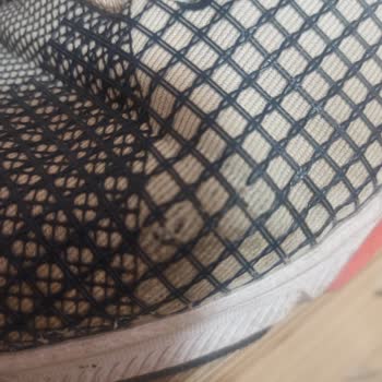 Yalı Spor Gerçekten Pişmanlık Ve Müşteri Memnuniyeti Sıfır.