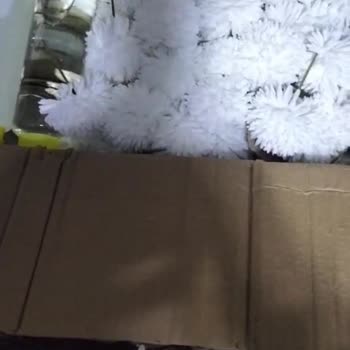 Light The Candle (lightcandless) Lightcandless Siparişi Son Güne Bırakması Ve Mesajlara Cevap Vermemesi