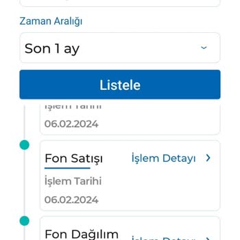 Anadolu Hayat Emeklilik BES Şikayet Fon Değişimi Hatası