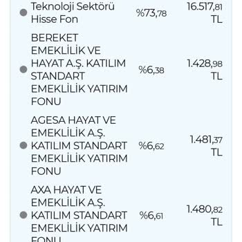 Anadolu Hayat Emeklilik BES Şikayet Fon Değişimi Hatası