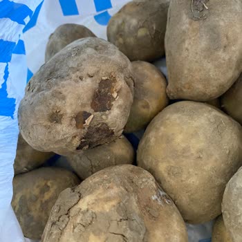 Migros Sanal Market Eksik Kötü Ürün Ve Temsilcinin Cevap Vermemesi