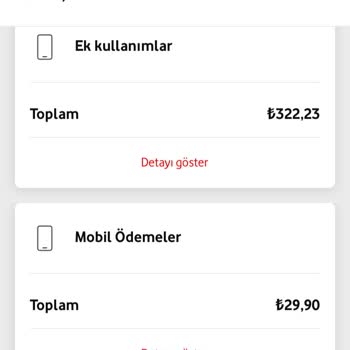 Vodafone 29 Liranın 2 Gün Faizi 30,9