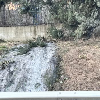 İBB Atık Su Şikayeti