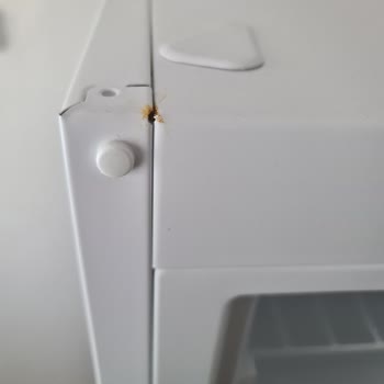 Vestel SEG Buzdolabı St 283