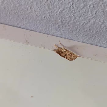 Afilli Bebek Afillibebek.com.tr Ürün Kırık Geldi İlgisiz Firma