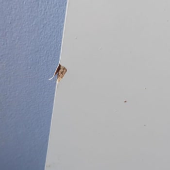 Afilli Bebek Afillibebek.com.tr Ürün Kırık Geldi İlgisiz Firma