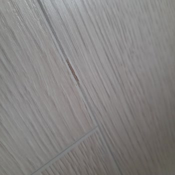 Çamsan Parke 5 Ay İçinde Deforme Oldu!