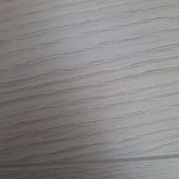 Çamsan Parke 5 Ay İçinde Deforme Oldu!