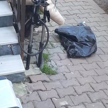 Mondial Motor Bana Ulaşın Hakkımızı Arayalım