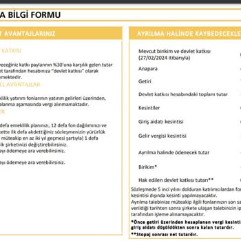 NN Hayat Ve Emeklilik (5 Yıl İçinde BES İn İptali Hk.)