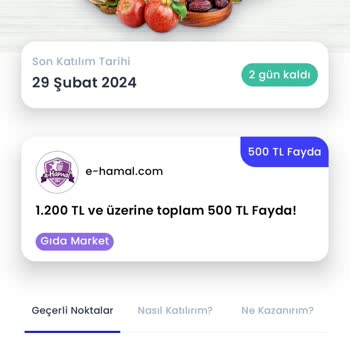 Chippin Matematiksel Kampanya Oyunu