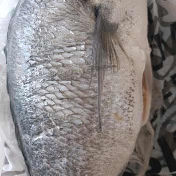 İzmir İstinyePark Makromarket Bozuk Balık Satıyor