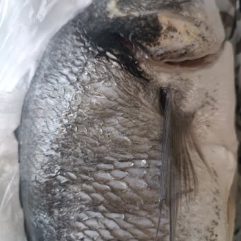 İzmir İstinyePark Makromarket Bozuk Balık Satıyor