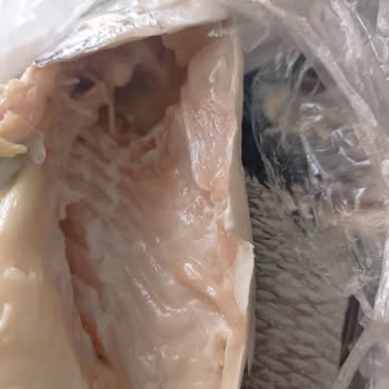 İzmir İstinyePark Makromarket Bozuk Balık Satıyor