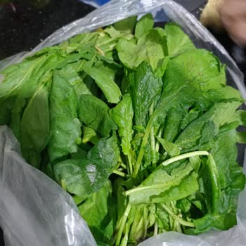 Grundig Buzdolabının Normal Rafların Buzlanması, Sebzeliğin Buzlanması.