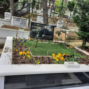 İBB - İstanbul Büyükşehir Belediyesi Ihlamurkuyu Mezarlığı Çiçek Çalınması