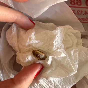 Koska Mahir Gıda Fıstıklı Tahin Helvası İçinden Çıkan "kabuklu Antep Fıstığı"