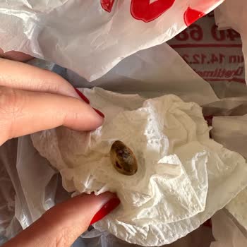 Koska Mahir Gıda Fıstıklı Tahin Helvası İçinden Çıkan "kabuklu Antep Fıstığı"