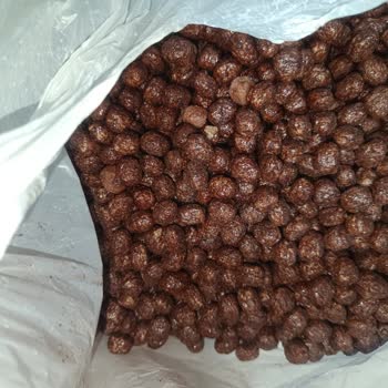 Nesquik İçinden Kurt Çıktı